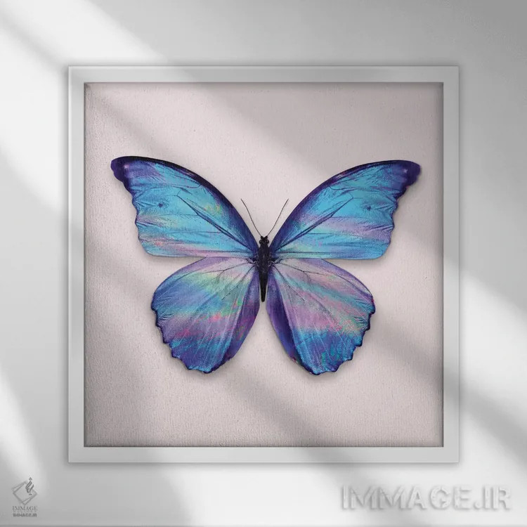تابلو دکوراتیو "پروانه هولوگرافیک" اثر یوناس لوس - نمای قابدار سفید