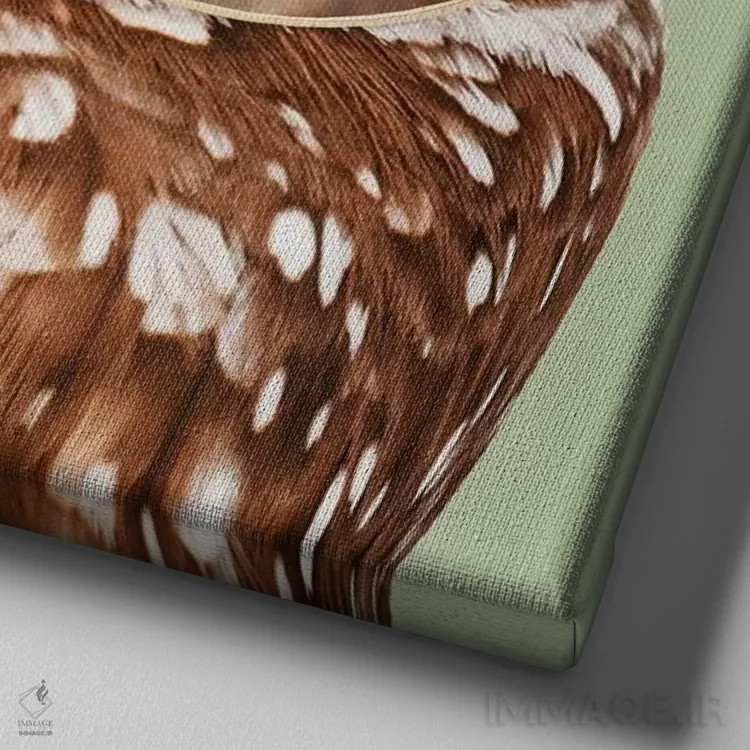 تابلو دکوراتیو "جغد با عینک" اثر یوناس لوس - نمای نزدیک بافت بوم