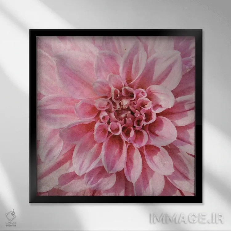 تابلو دکوراتیو "گل دیواری ۷" اثر آلونزو ساندرز - نمای قابدار مشکی