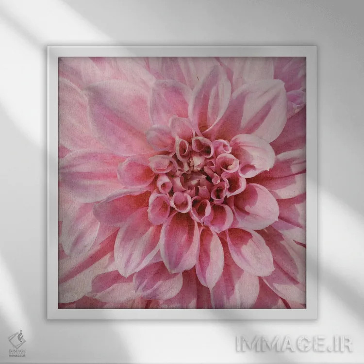 تابلو دکوراتیو "گل دیواری ۷" اثر آلونزو ساندرز - نمای قابدار سفید