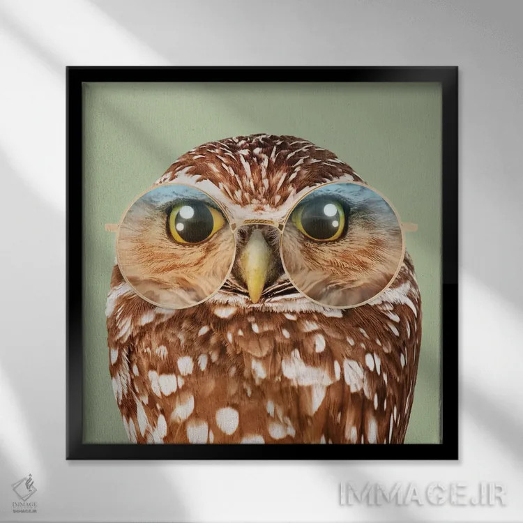 تابلو دکوراتیو "جغد با عینک" اثر یوناس لوس - نمای قابدار مشکی