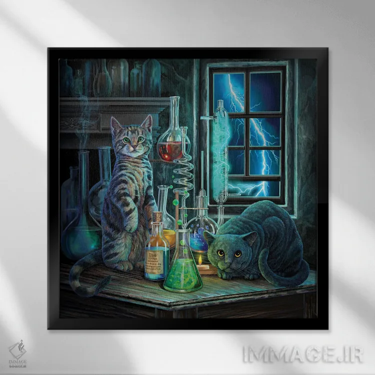 تابلو دکوراتیو "جکیل و هاید" اثر لیزا پارکر - نمای قابدار مشکی