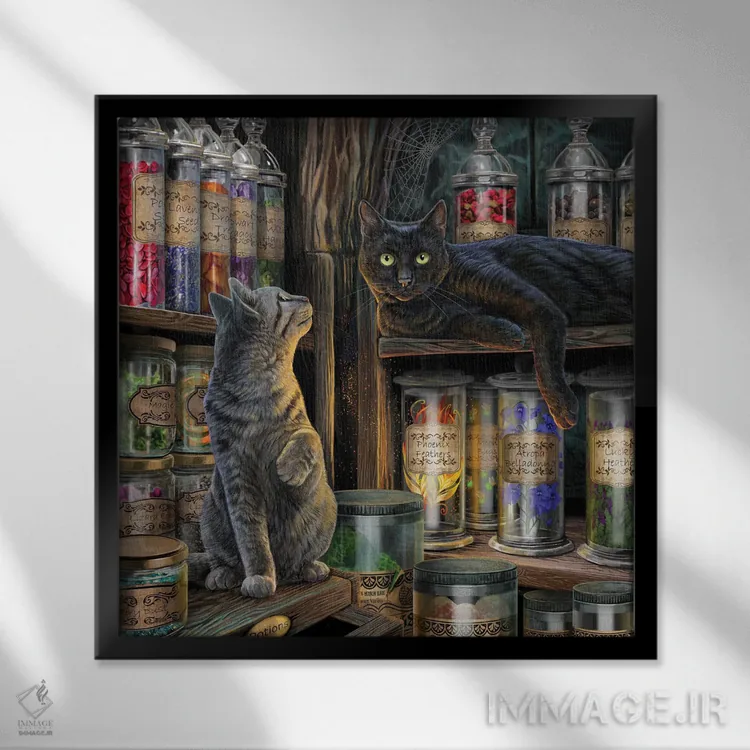 تابلو دکوراتیو "بازار جادویی" اثر لیزا پارکر - نمای قابدار مشکی