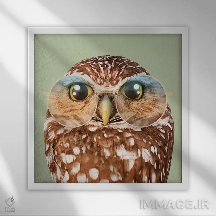 تابلو دکوراتیو "جغد با عینک" اثر یوناس لوس - نمای قابدار سفید