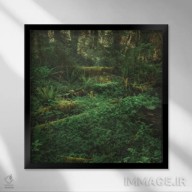 تابلو دکوراتیو جنگل بارانی المپیک اثر لوئیس راث - نمای قابدار مشکی