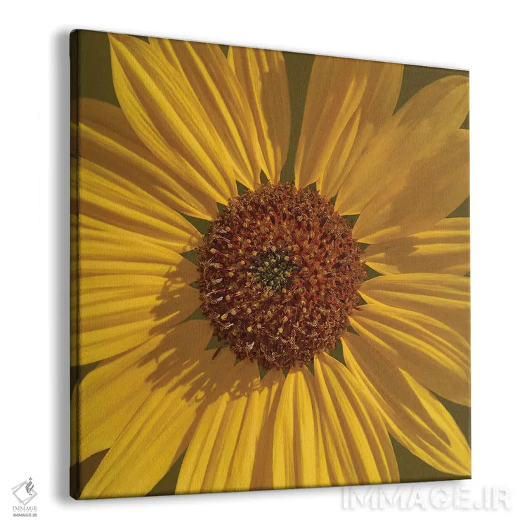 تابلو دکوراتیو نمای نزدیک گل مروارید اثر لوئیس راث - نمای پرسپکتیو محصول