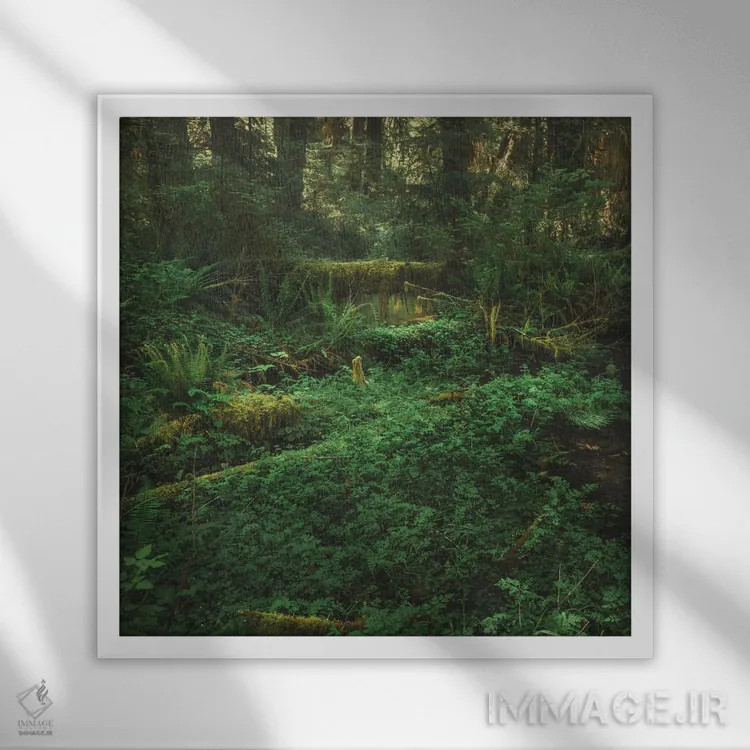تابلو دکوراتیو جنگل بارانی المپیک اثر لوئیس راث - نمای قابدار سفید