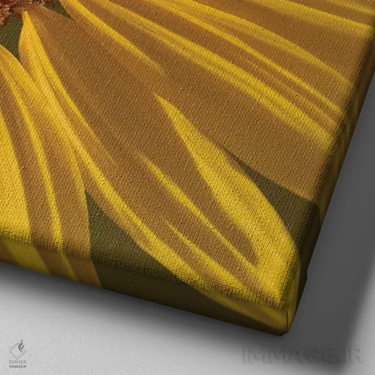 تابلو دکوراتیو نمای نزدیک گل مروارید اثر لوئیس راث - نمای نزدیک بافت بوم