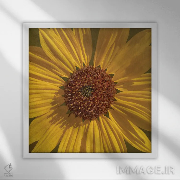 تابلو دکوراتیو نمای نزدیک گل مروارید اثر لوئیس راث - نمای قابدار سفید