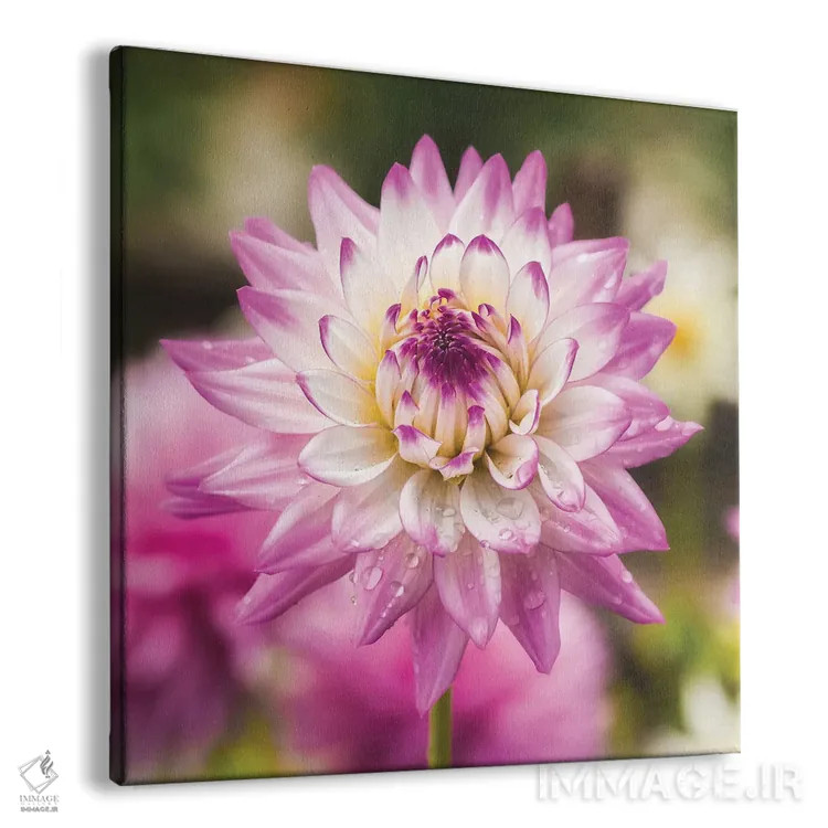 تابلو دکوراتیو گل والری اثر لوئیس راث - نمای پرسپکتیو محصول