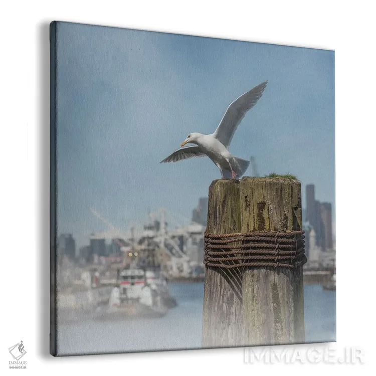 تابلو دکوراتیو احساس کمی سرخوشی اثر لوئیس راث - نمای پرسپکتیو محصول