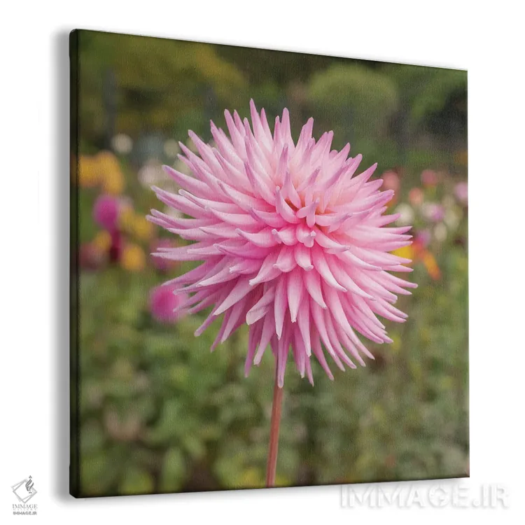 تابلو دکوراتیو گل دالیاس اثر لوئیس راث - نمای پرسپکتیو محصول