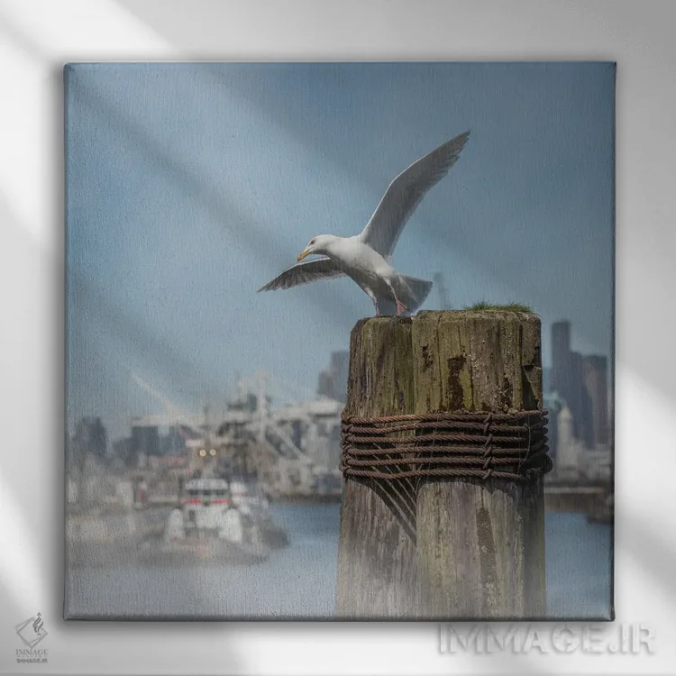 تابلو دکوراتیو احساس کمی سرخوشی اثر لوئیس راث - نمای روبهرو روی دیوار