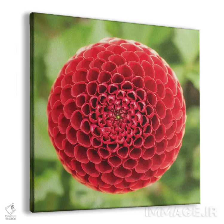 تابلو دکوراتیو کندو قرمز اثر لوئیس راث - نمای پرسپکتیو محصول