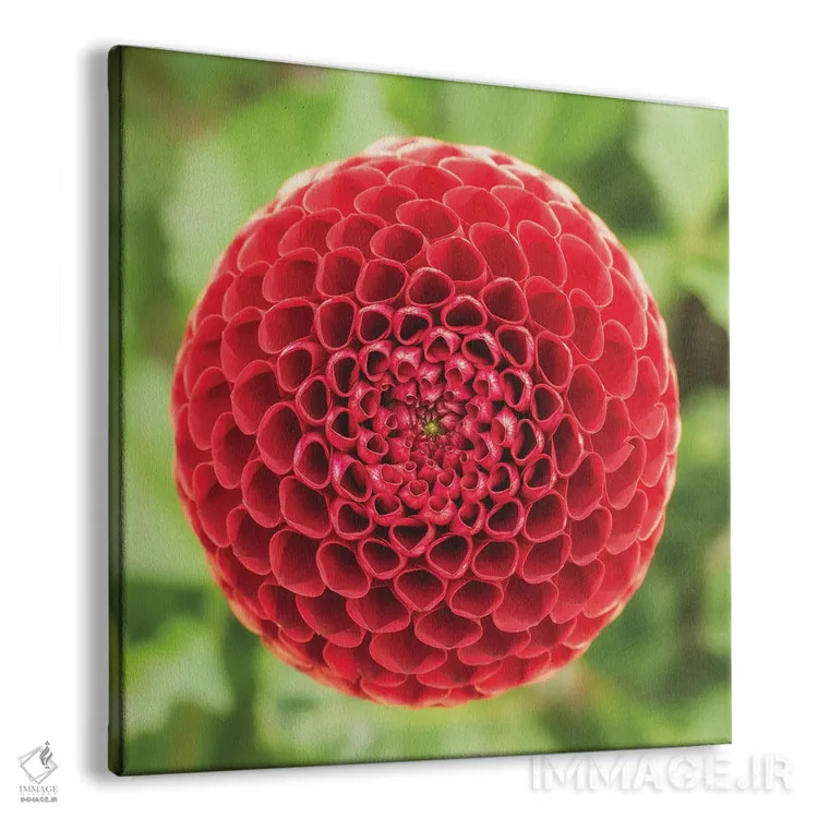 تابلو دکوراتیو کندو قرمز اثر لوئیس راث - نمای پرسپکتیو محصول