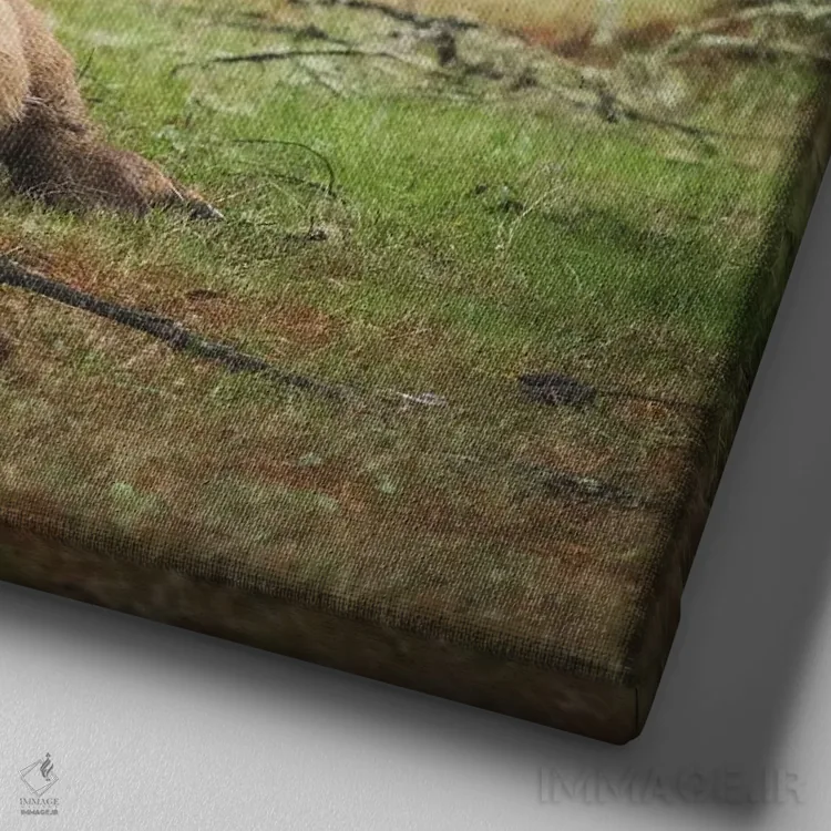 تابلو دکوراتیو گوزن نر جوان اثر لوئیس راث - نمای نزدیک بافت بوم