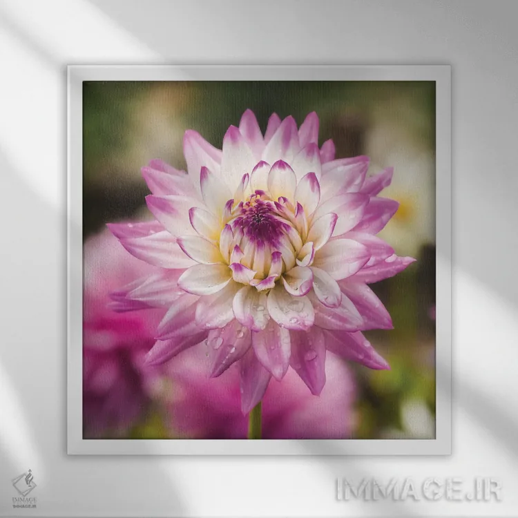 تابلو دکوراتیو گل والری اثر لوئیس راث - نمای قابدار سفید