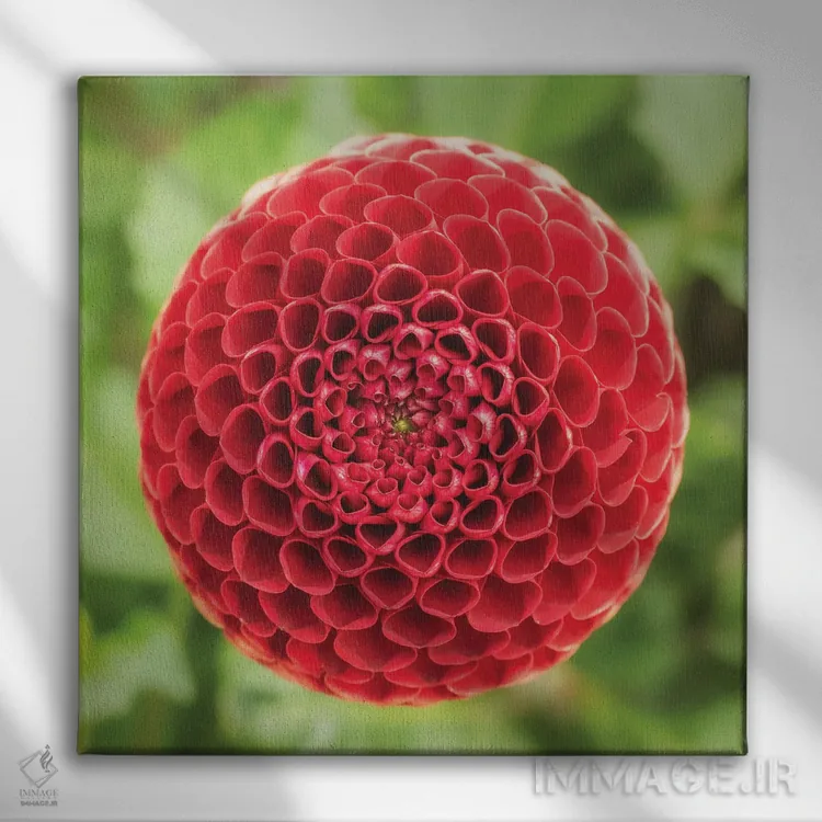 تابلو دکوراتیو کندو قرمز اثر لوئیس راث - نمای روبهرو روی دیوار