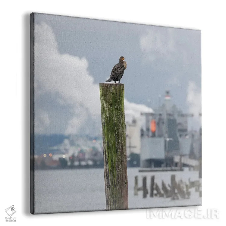 تابلو دکوراتیو نشسته در ارتفاع اثر لوئیس راث - نمای پرسپکتیو محصول