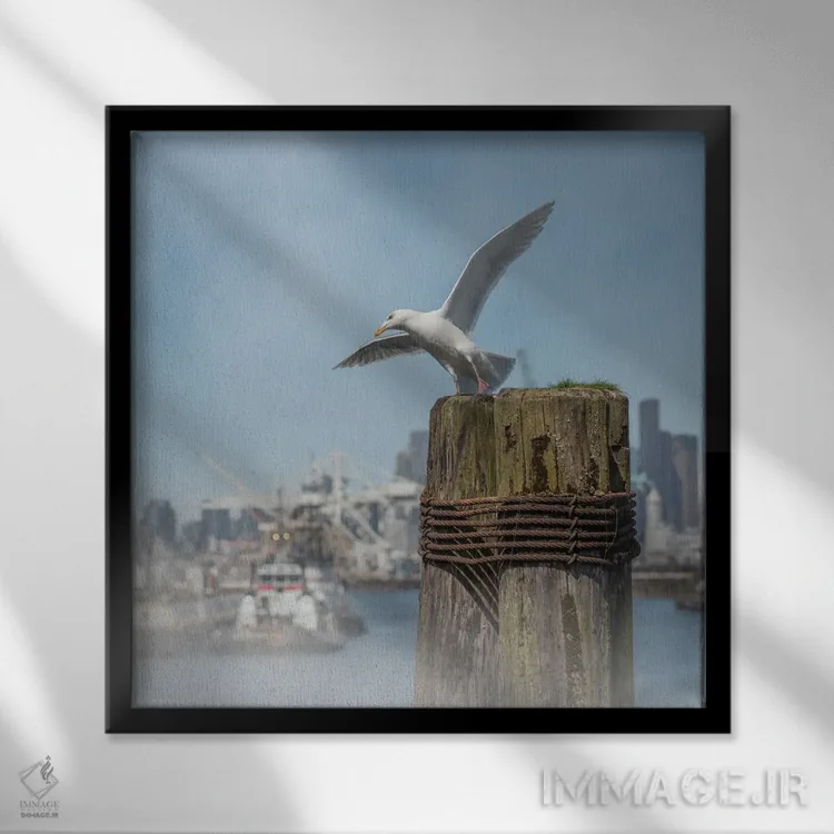 تابلو دکوراتیو احساس کمی سرخوشی اثر لوئیس راث - نمای قابدار مشکی