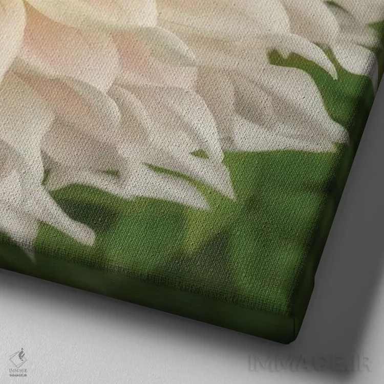 تابلو دکوراتیو دالیای چرخ رنگ اثر لوئیس راث - نمای نزدیک بافت بوم