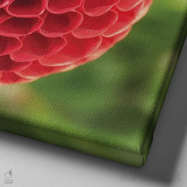 تابلو دکوراتیو کندو قرمز اثر لوئیس راث - نمای نزدیک بافت بوم