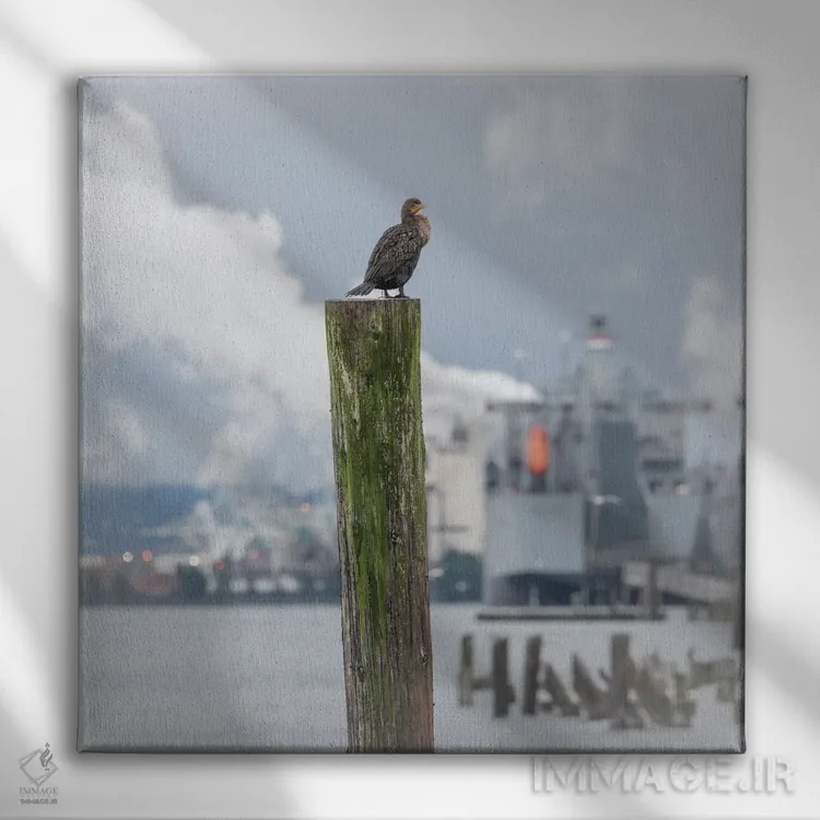 تابلو دکوراتیو نشسته در ارتفاع اثر لوئیس راث - نمای روبهرو روی دیوار