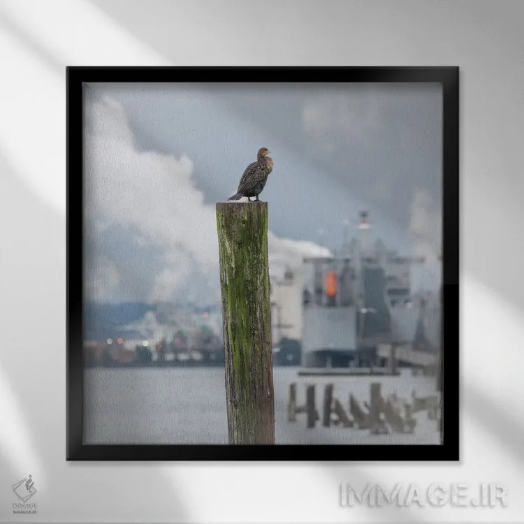 تابلو دکوراتیو نشسته در ارتفاع اثر لوئیس راث - نمای قابدار مشکی