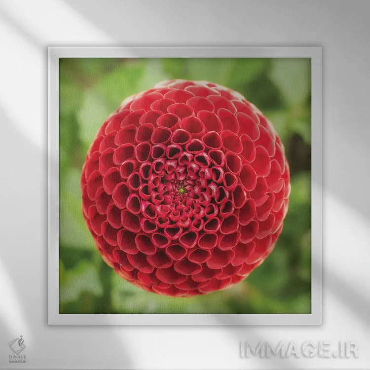 تابلو دکوراتیو کندو قرمز اثر لوئیس راث - نمای قابدار سفید