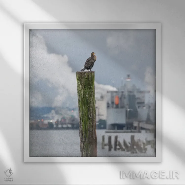 تابلو دکوراتیو نشسته در ارتفاع اثر لوئیس راث - نمای قابدار سفید