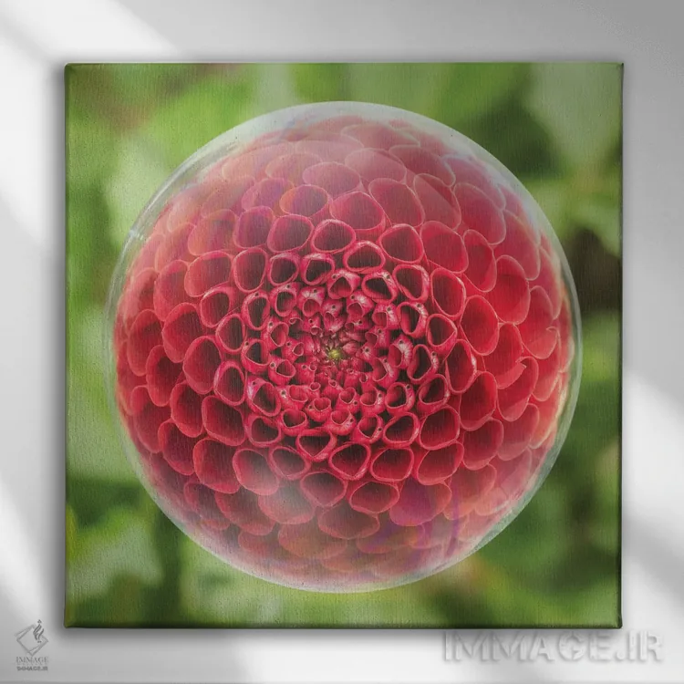 تابلو دکوراتیو حباب ماهی و دالیا اثر لوئیس راث - نمای روبهرو روی دیوار