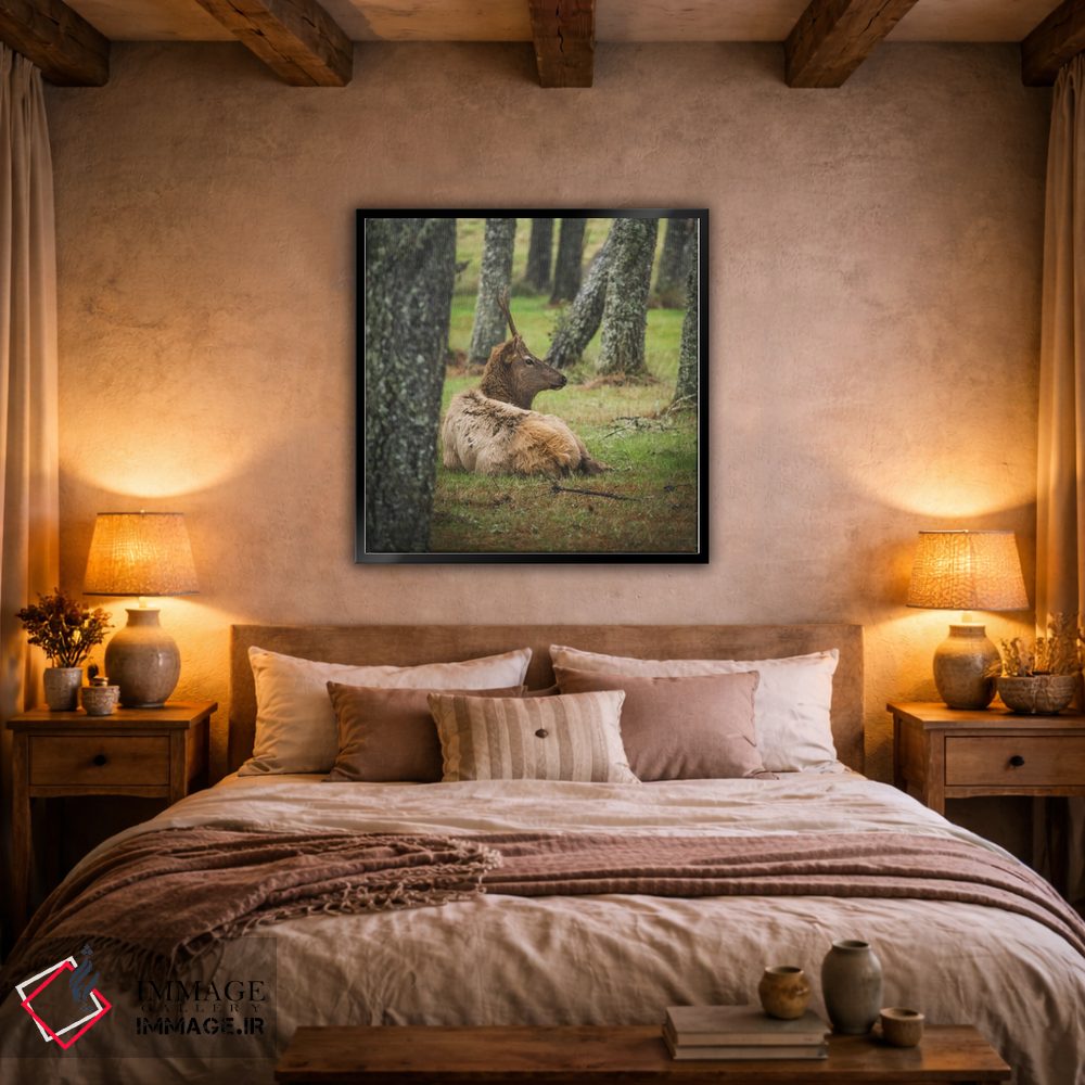 تابلو دکوراتیو گوزن نر جوان اثر لوئیس راث - D3B