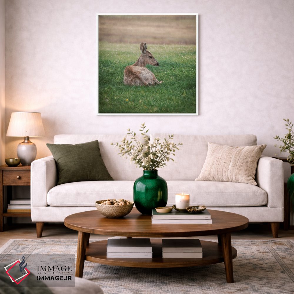 تابلو دکوراتیو آهو در حال استراحت در علفزار سبز اثر لوئیس راث - D1W