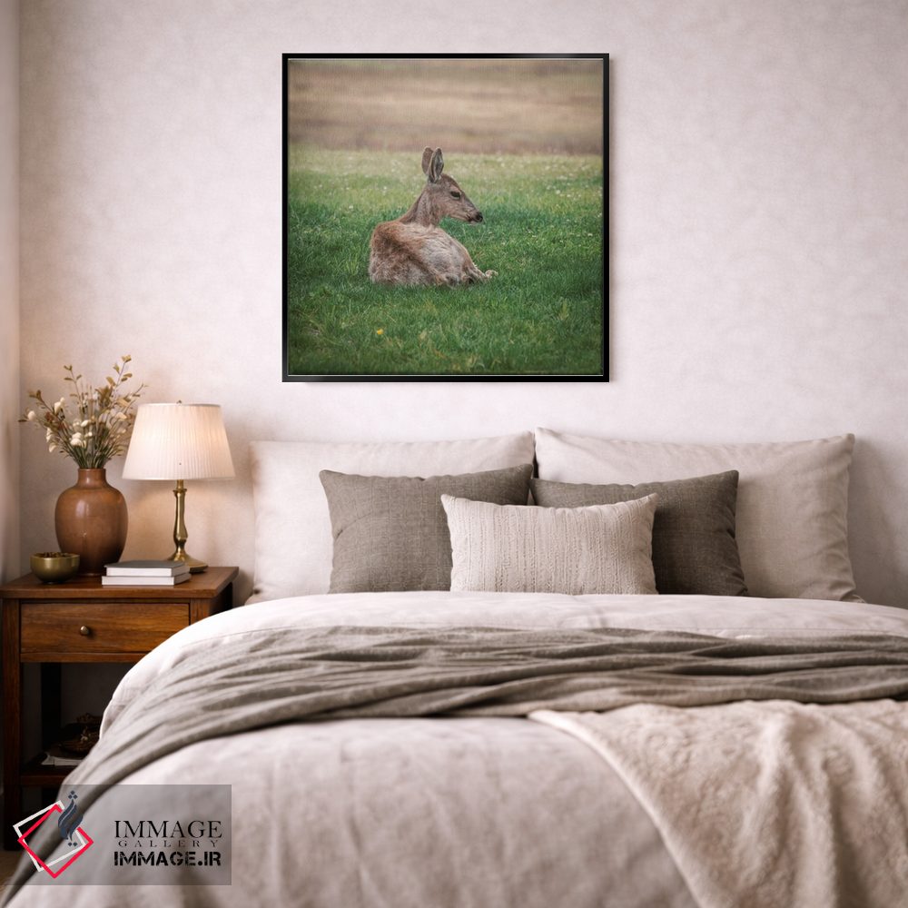 تابلو دکوراتیو آهو در حال استراحت در علفزار سبز اثر لوئیس راث - D4B