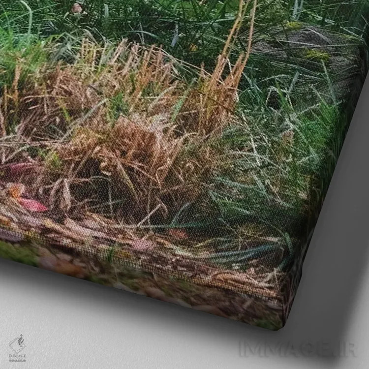 تابلو دکوراتیو نشانه ترساندن اثر لوئیس راث - نمای نزدیک بافت بوم