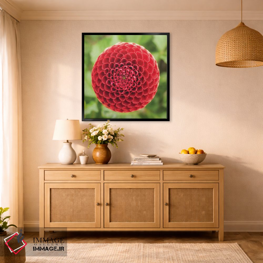 تابلو دکوراتیو کندو قرمز اثر لوئیس راث - D1B