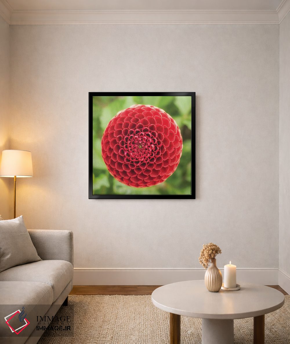 تابلو دکوراتیو کندو قرمز اثر لوئیس راث - D5B