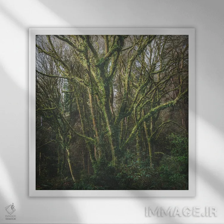 تابلو دکوراتیو بهار شکوفا شده است اثر لوئیس راث - نمای قابدار سفید