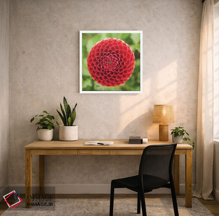 تابلو دکوراتیو کندو قرمز اثر لوئیس راث - D6W