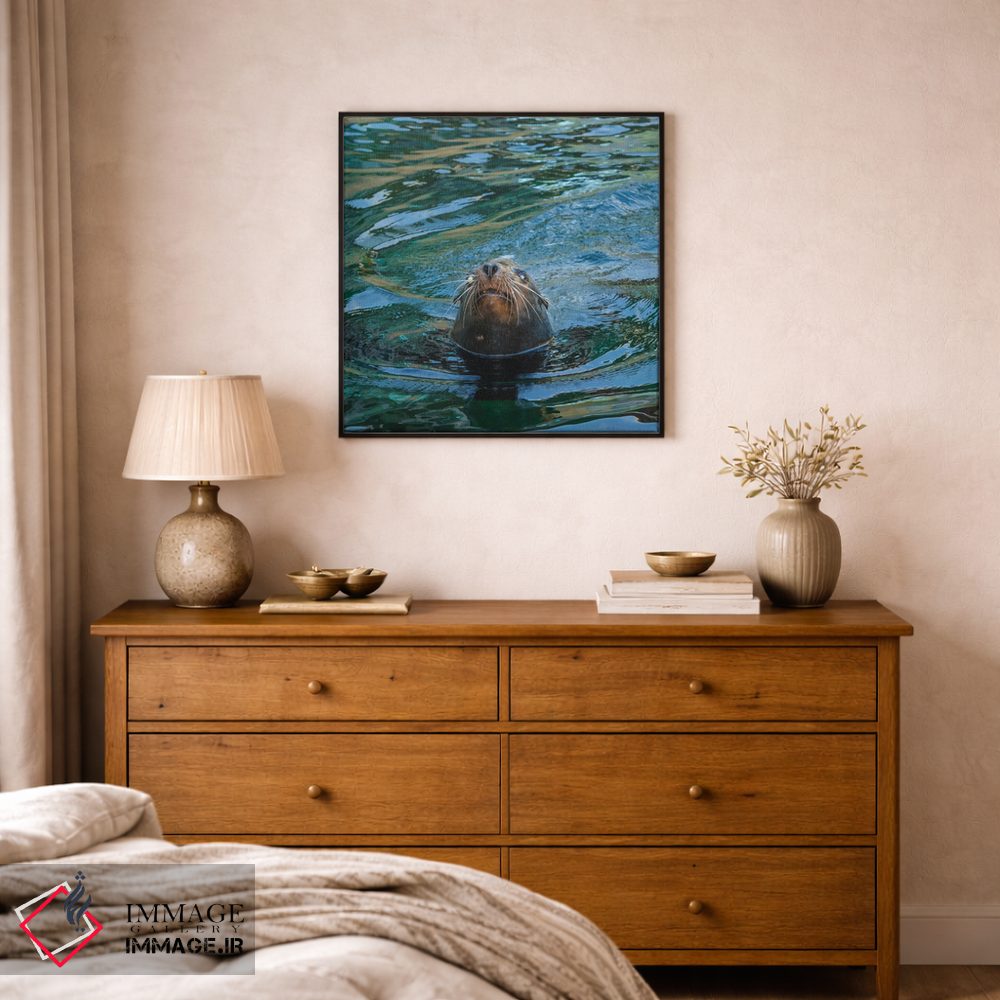 تابلو دکوراتیو نمای نزدیک فوک دریایی اثر لوئیس راث - D1B