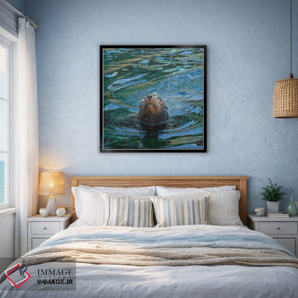 تابلو دکوراتیو نمای نزدیک فوک دریایی اثر لوئیس راث - D3B