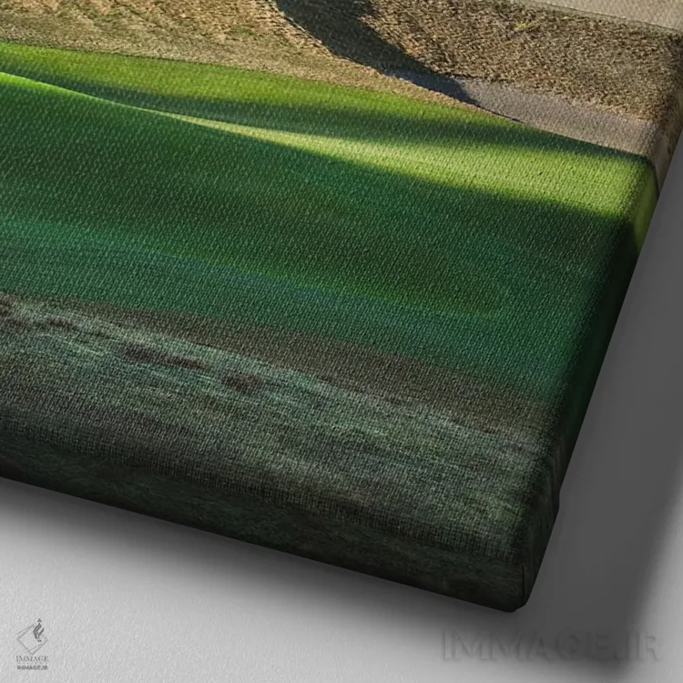 تابلو دکوراتیو زمین گلف چمبرز بی اثر لوئیس راث - نمای نزدیک بافت بوم