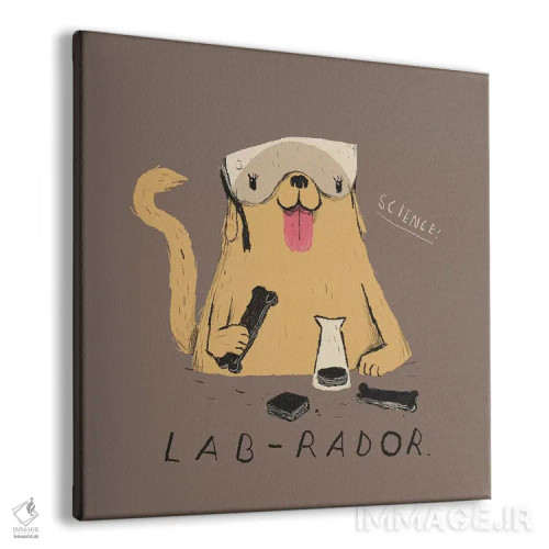 تابلو دکوراتیو لابرادور اثر لوئیس روسکوش - نمای پرسپکتیو محصول