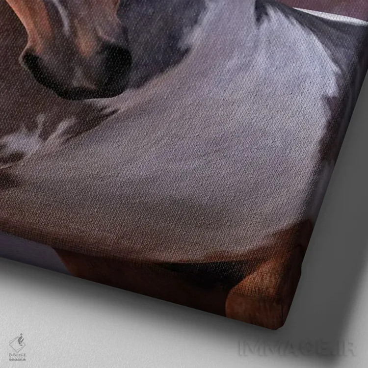 تابلو دکوراتیو فیرزا اثر لوری پرایندل - نمای نزدیک بافت بوم