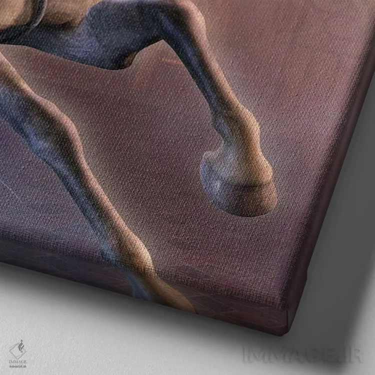 تابلو دکوراتیو ال واکرو اثر لوری پرایندل - نمای نزدیک بافت بوم