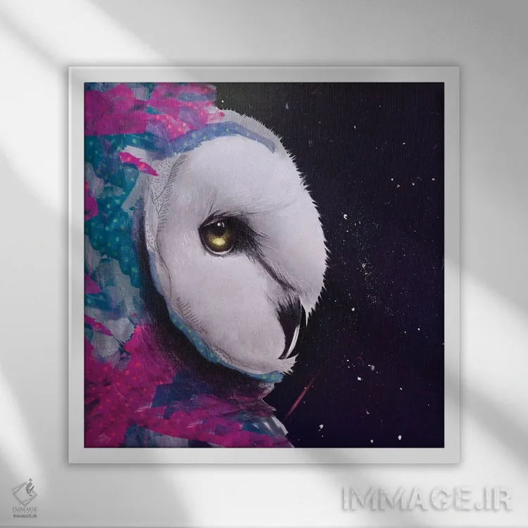 تابلو دکوراتیو جغد اثر لاستاناو - نمای قابدار سفید