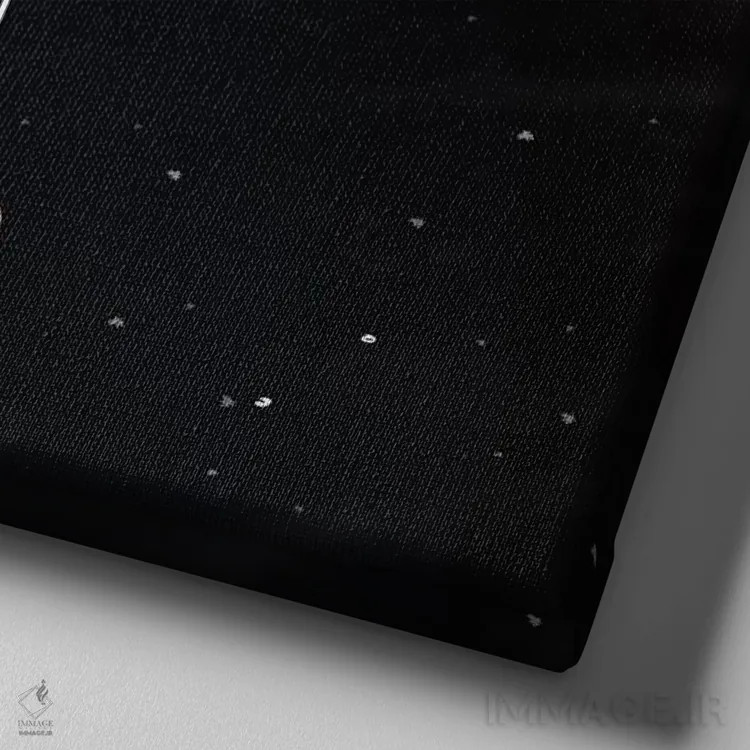 تابلو دکوراتیو پاگ و پیتزا در فضا اثر لاستاناو - نمای نزدیک بافت بوم