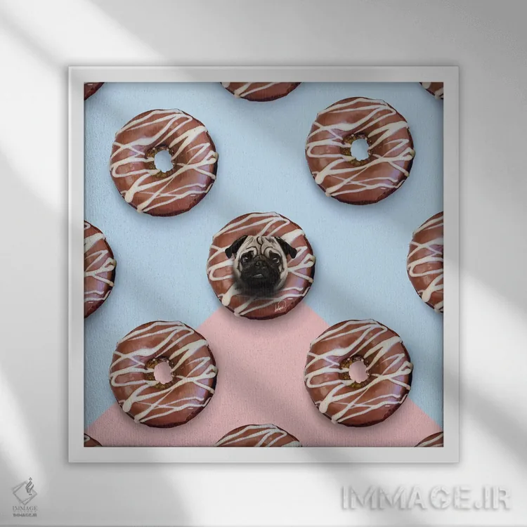 تابلو دکوراتیو دونات های پاگ اثر لاستاناو - نمای قابدار سفید