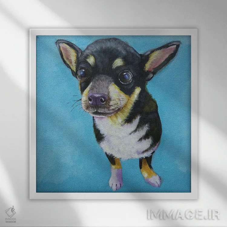 تابلو دکوراتیو سگ ریچل اثر لوسیا استوارت - نمای قابدار سفید