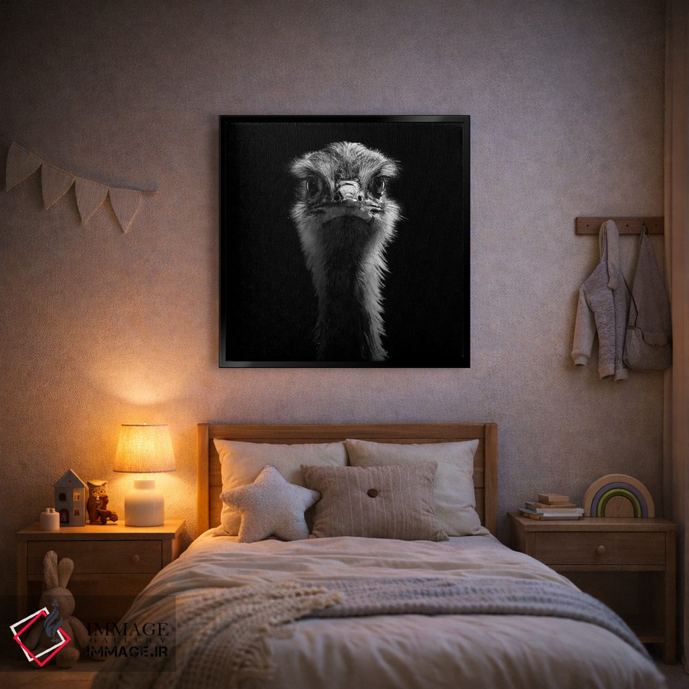 تابلو دکوراتیو شترمرغ سیاه و سفید اثر لوکاس هلاس - D2B